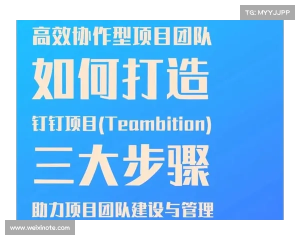 打造高效教练团协作模式助力团队发展与成长 打造高效教练团协作模式助力团队发展与成长